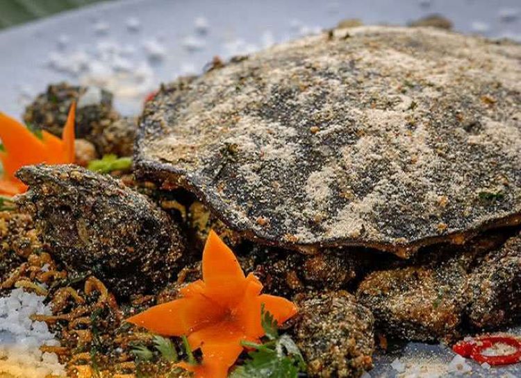 Các món ngon chế biến từ ba ba