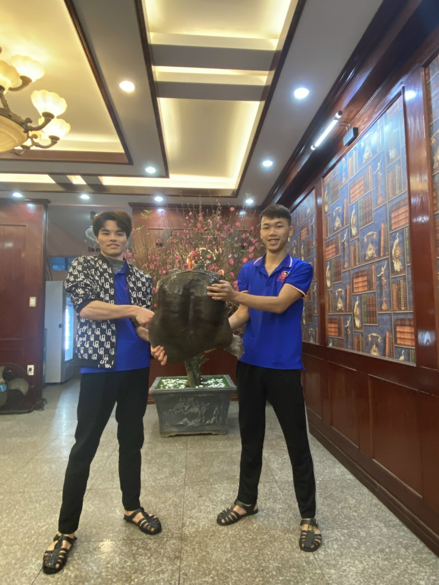 Giá ba ba gai tại Hà Nội