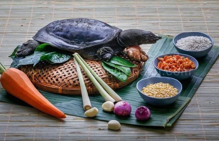 M&oacute;n ăn ba ba nướng than hoa