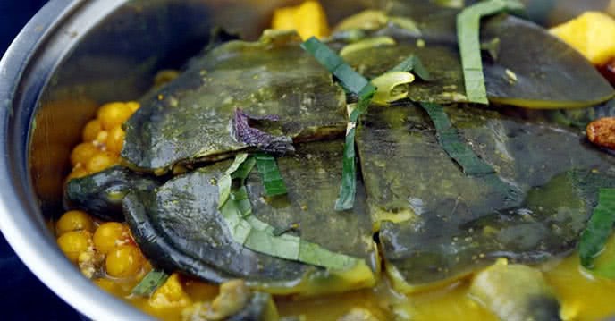 c&aacute;ch l&agrave;m thịt ba ba​