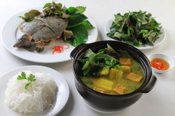 Cách Nấu Ba Ba Chuối Đậu Chuẩn Vị Đậm Đàm, Không Tanh Ngay Tại Nhà