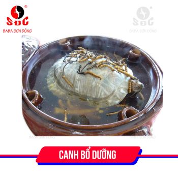 CANH BA BA BỔ DƯỠNG